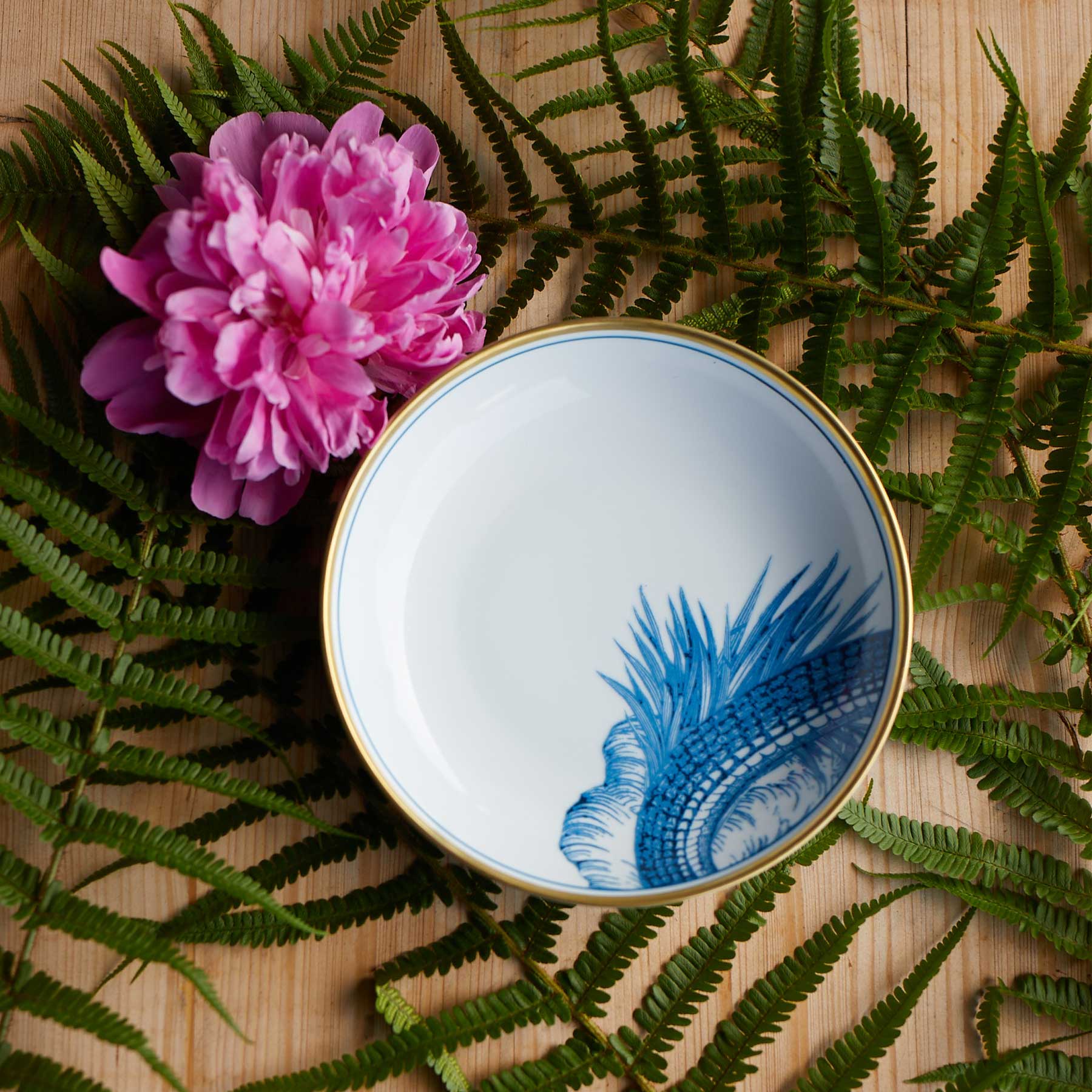 Suppenteller Coup Garden Eden 21 cm