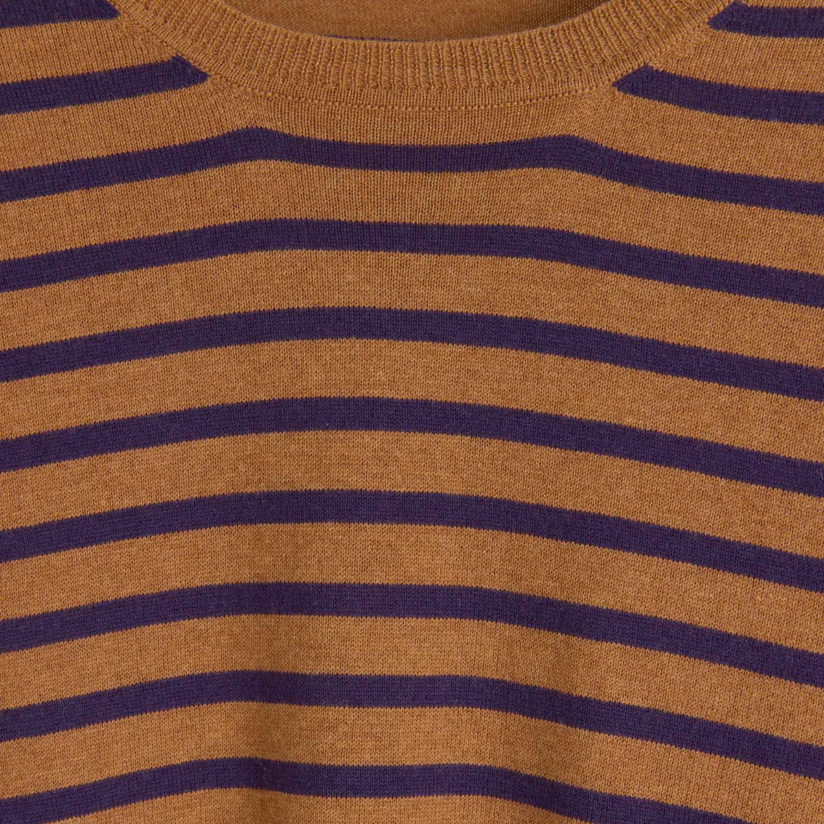 Shirt Harmony Stripe