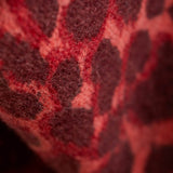 Blanket Cheetah