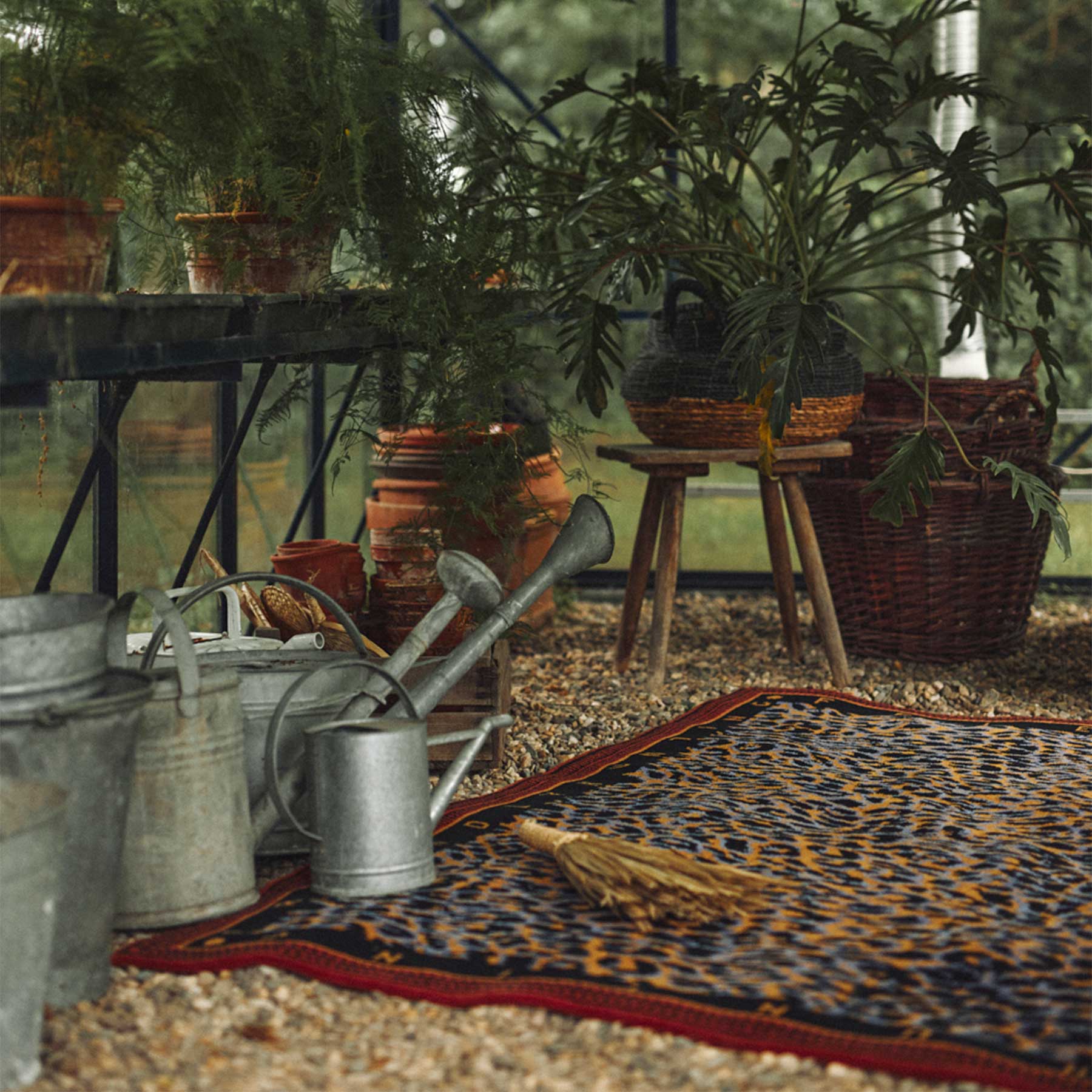 friendly hunting rugs