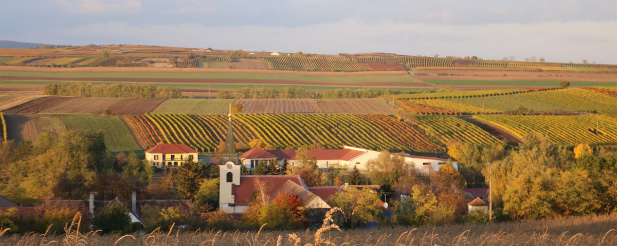 friendly hunting  x Weingut Heinzl-Gettinger
