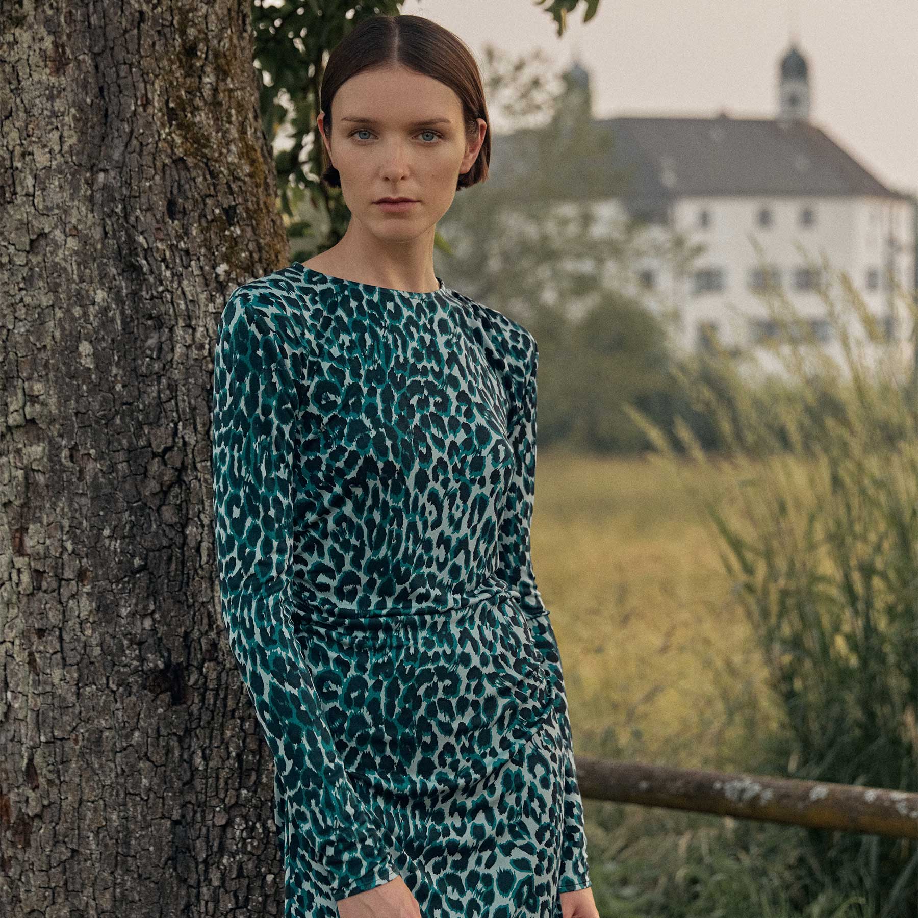 Dress Kale Cheetah Silk Jersey