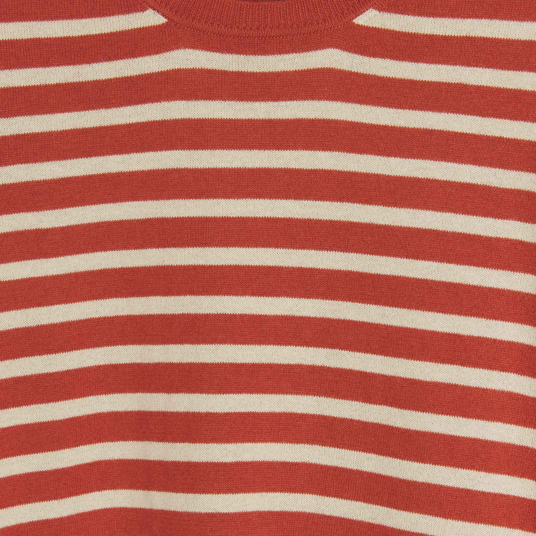 Shirt Harmony Stripe